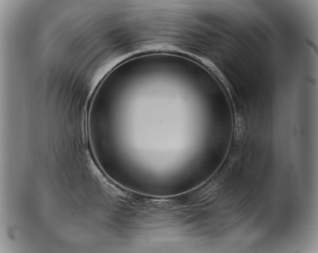 X0000101711295200807101555