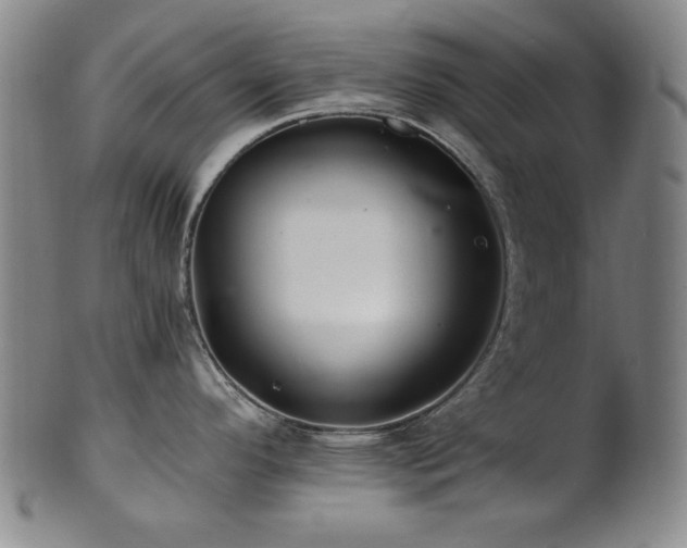 X0000101711296200807101555
