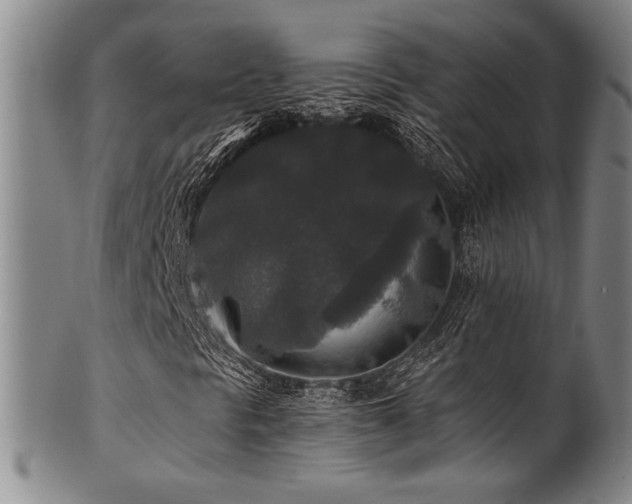 X0000101711297200807101554