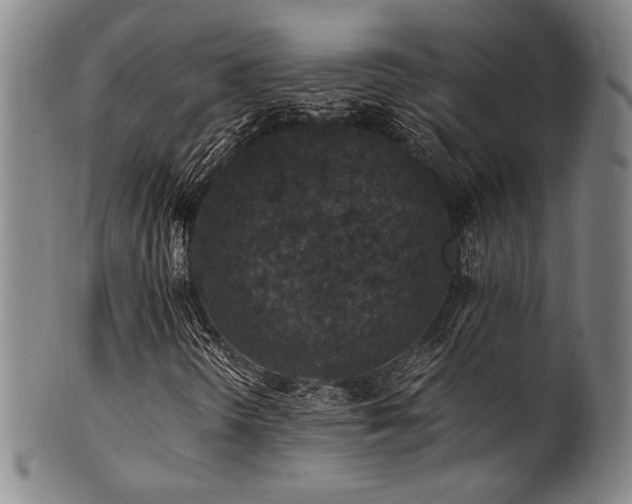 X0000101711298200807101554