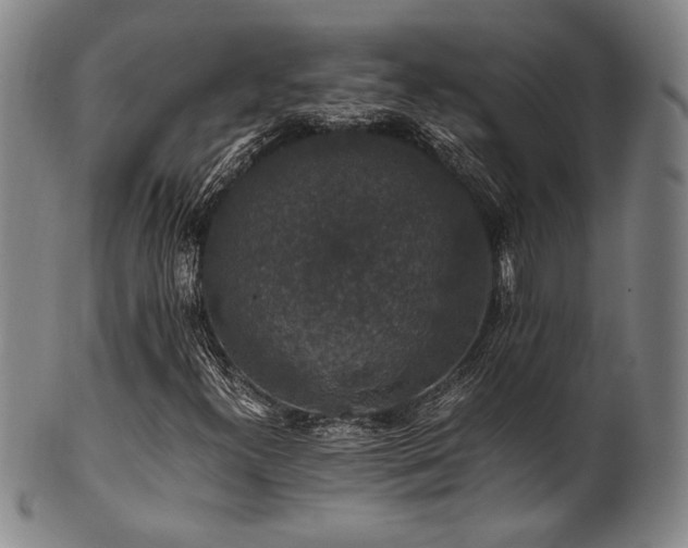 X0000101711300200807101554