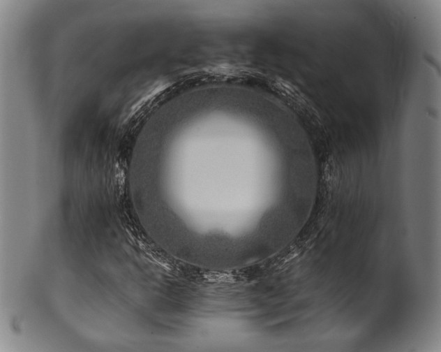 X0000101711302200807101555