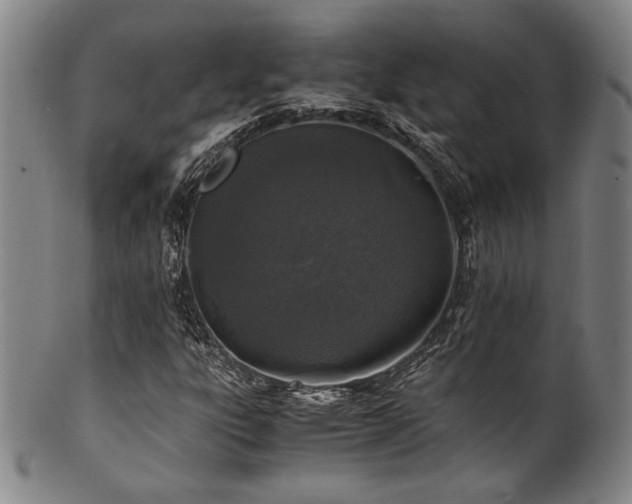 X0000101711303200807101555