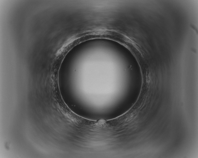 X0000101711304200807101555