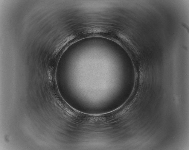 X0000101711305200807101555