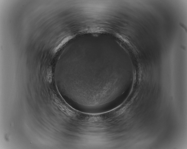 X0000101711306200807101555