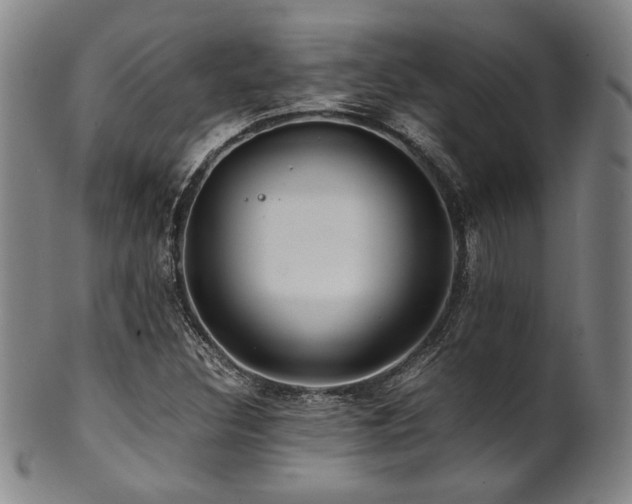 X0000101711308200807101555