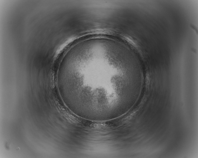 X0000101711310200807101555