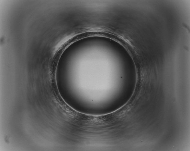 X0000101711311200807101555