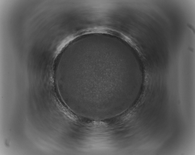 X0000101711312200807101555