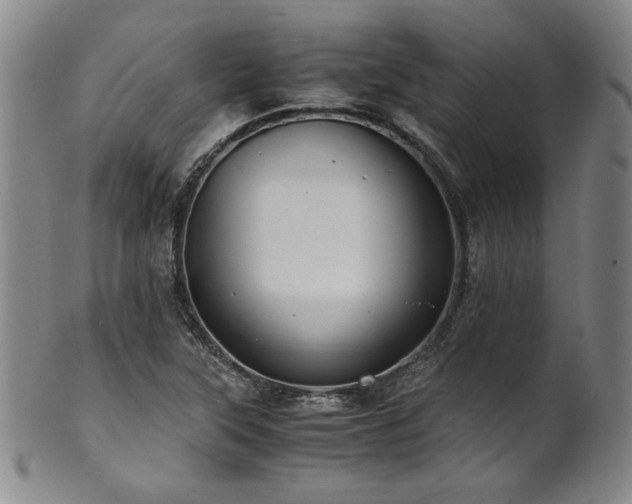 X0000101711315200807101555