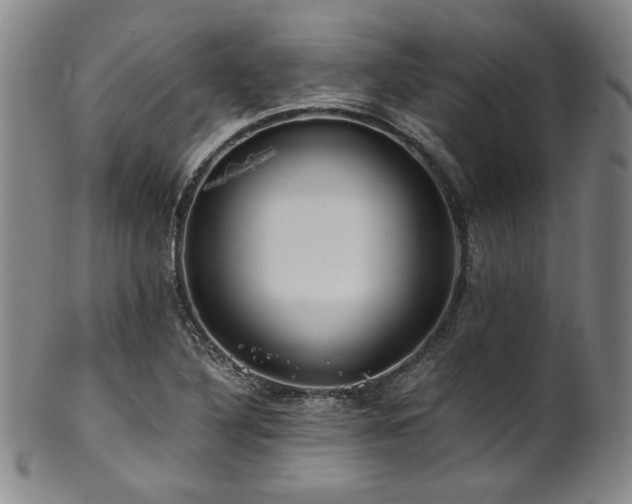 X0000101711316200807101555