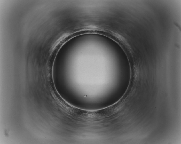 X0000101711318200807101555