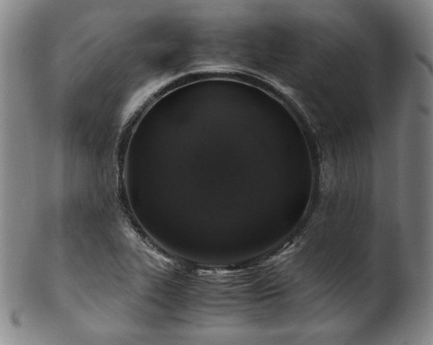X0000101711319200807101555