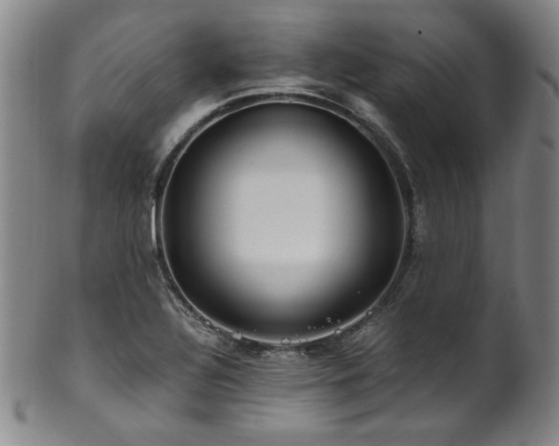 X0000101711320200807101555