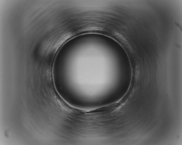 X0000101711321200807101555