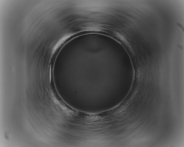 X0000101711323200807101555