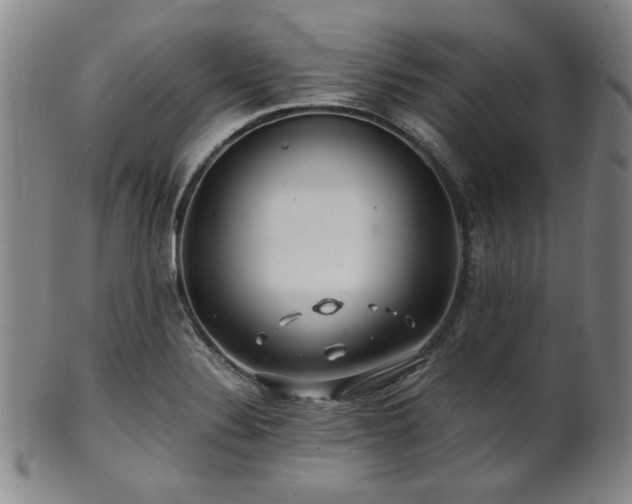 X0000101711324200807101555