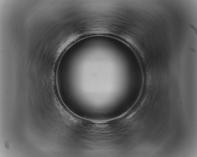 X0000101711325200807101555
