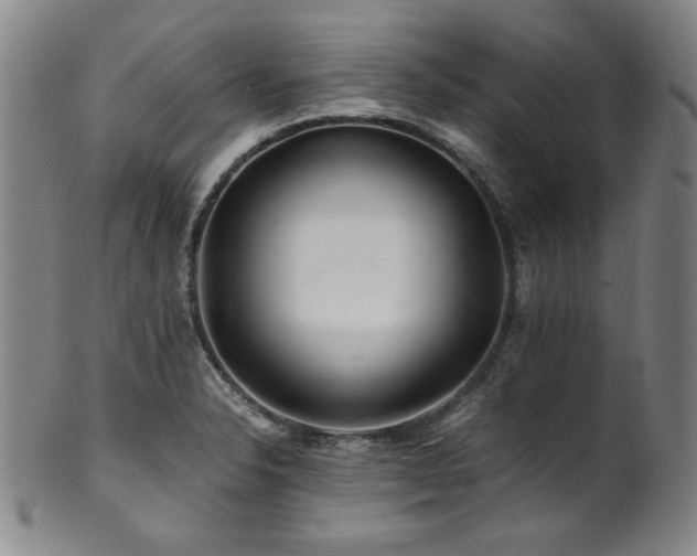 X0000101711326200807101555