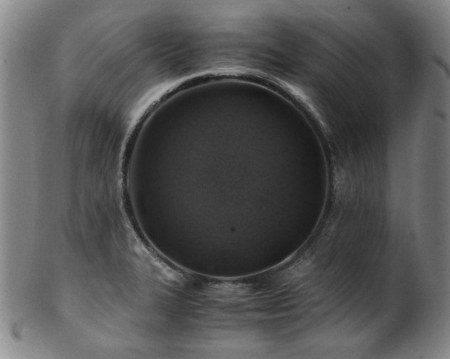 X0000101711327200807101555
