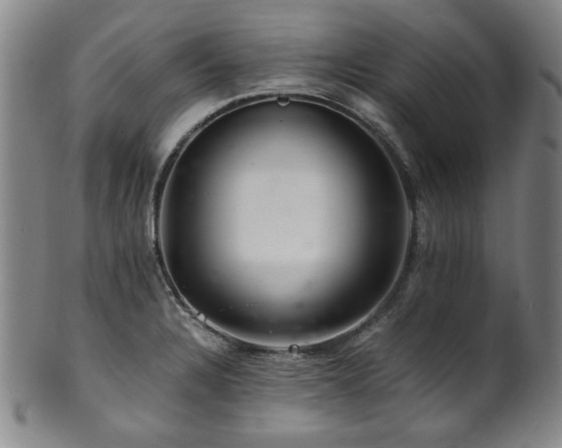 X0000101711328200807101555