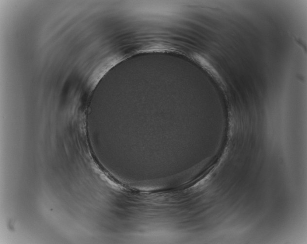 X0000101711329200807101555