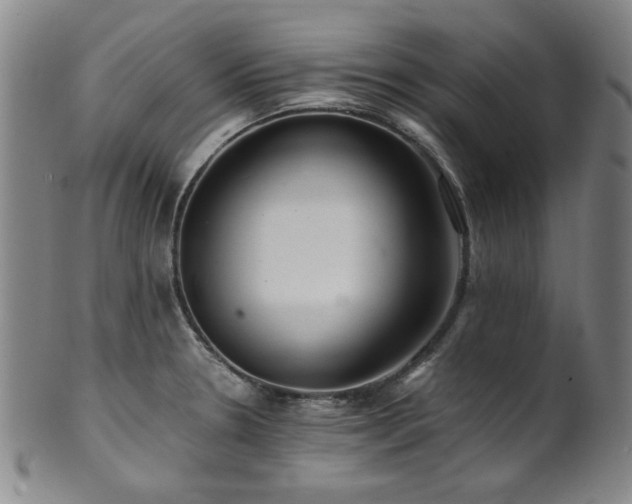 X0000101711330200807101555