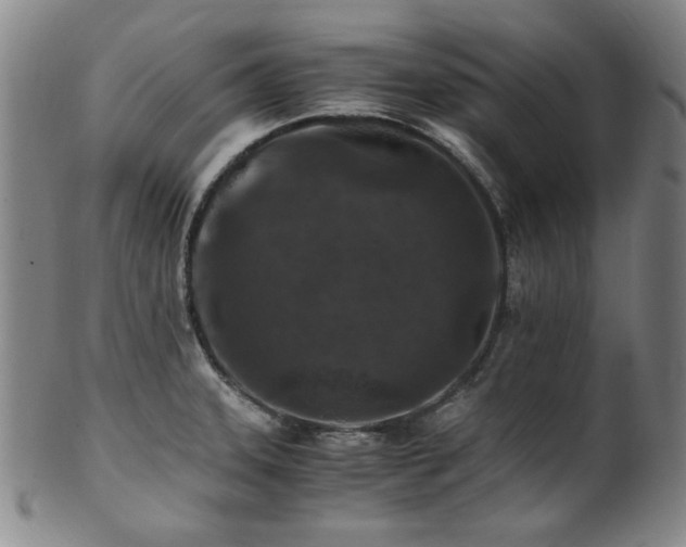 X0000101711331200807101555