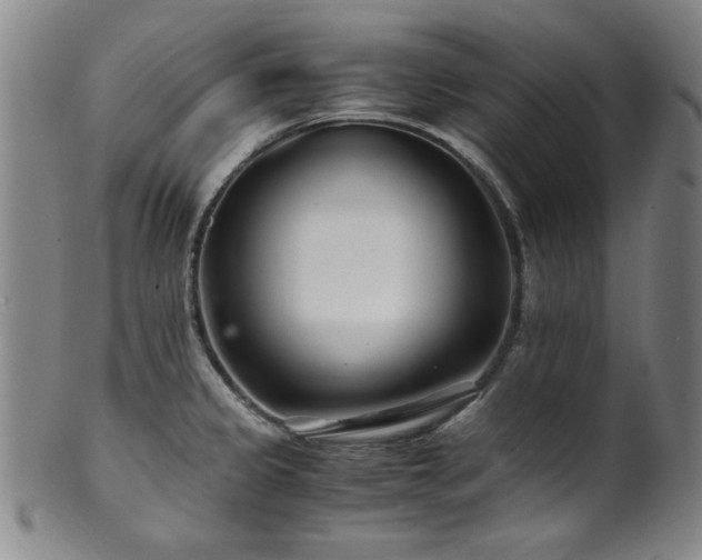 X0000101711333200807101555