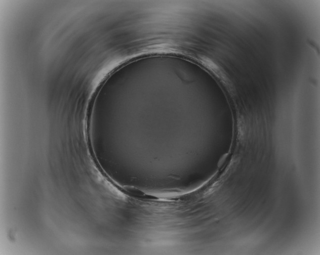 X0000101711334200807101555