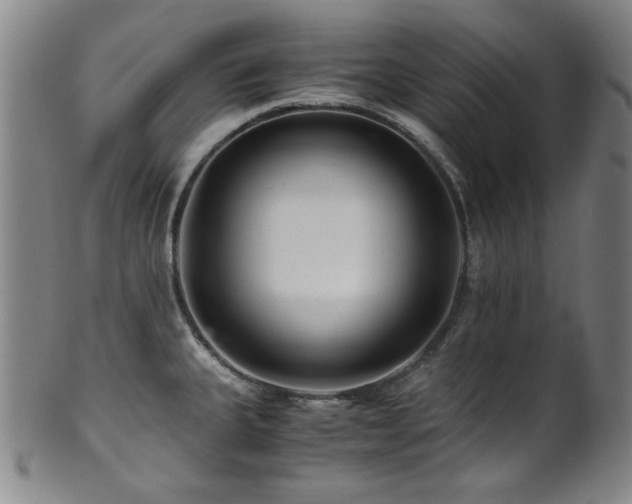 X0000101711335200807101555