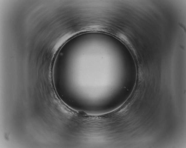 X0000101711336200807101555