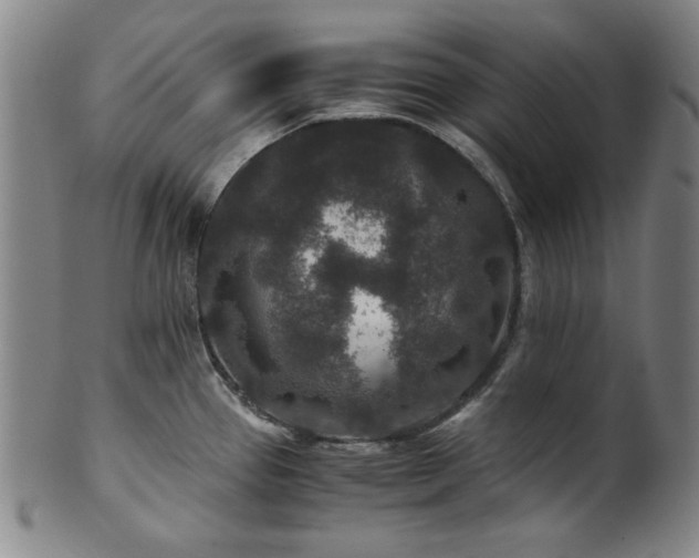 X0000101711337200807101555