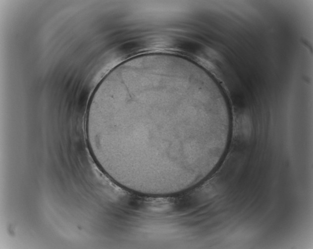 X0000101711338200807101555