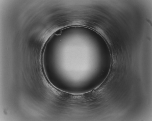 X0000101711339200807101555