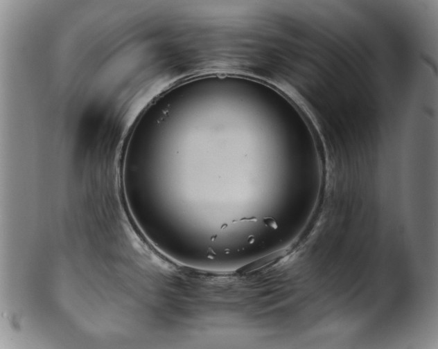 X0000101711341200807101555