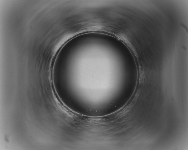 X0000101711342200807101555