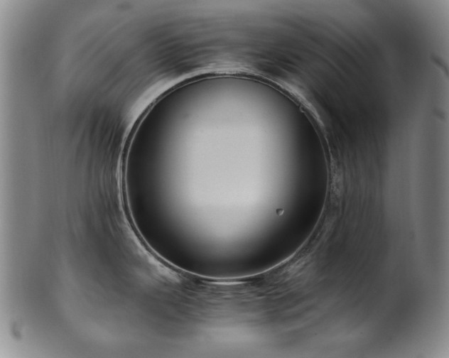 X0000101711343200807101555