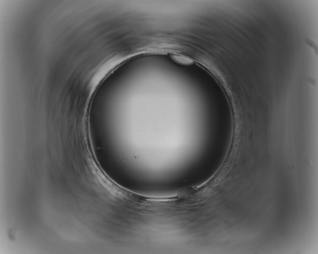 X0000101711344200807101555