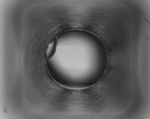 X0000101711345200807101554