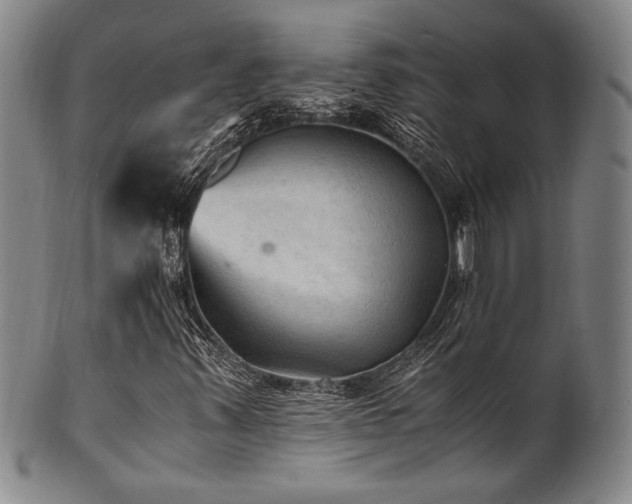 X0000101711347200807101554