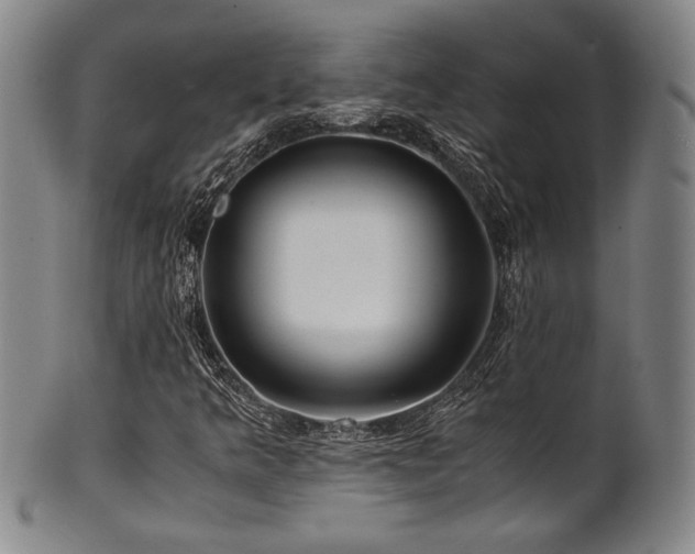 X0000101711349200807101554