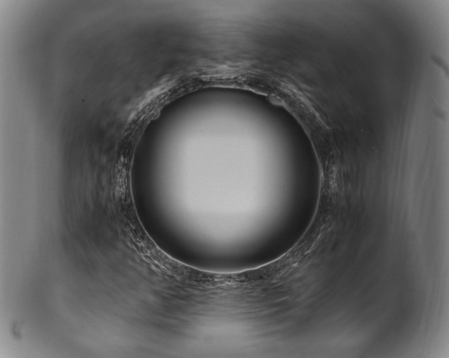 X0000101711350200807101554