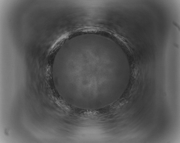 X0000101711351200807101554