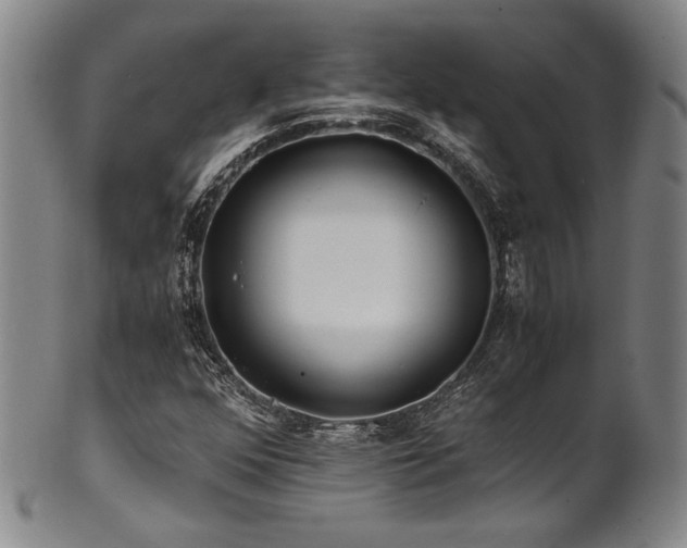 X0000101711352200807101554