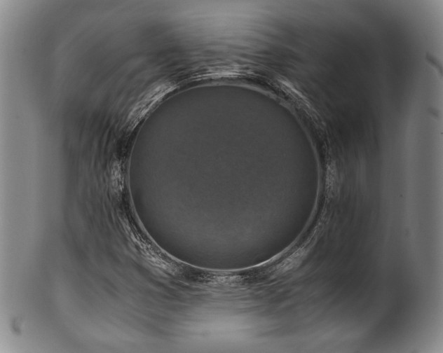 X0000101711353200807101554