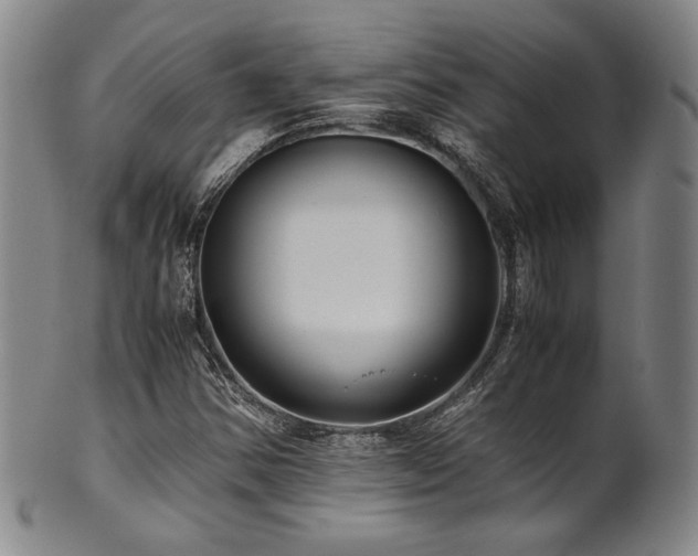 X0000101711354200807101554