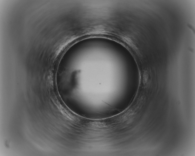 X0000101711356200807101554