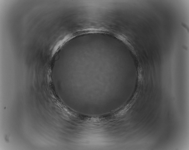 X0000101711357200807101554